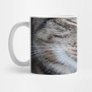 smiling cat Mug